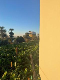 Elite Luxury apartment with pool - 5