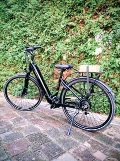 APARTAMENTY VILLA PIGMALION - sauna, jacuzzi, parking, ogród - 6