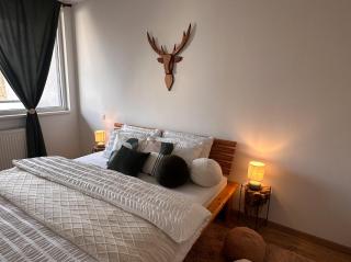 Byt U Jelena s parkovacím místem v centru města - 3