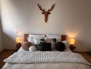 Byt U Jelena s parkovacím místem v centru města - 4