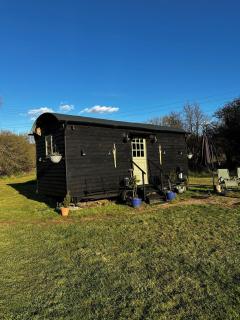 Mountbatten Shepherds hut & Buckhurst Shepherds hut - 6