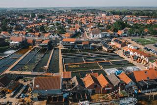 Oysterduinen - Resort Yerseke - 6