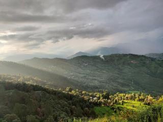 Batohi hotel cafe & Restaurant - 4