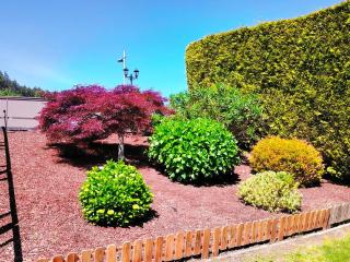 Finca O Loureiro - 4