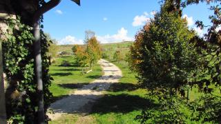 Séjour à la ferme au cœur de l`Aubrac - 5