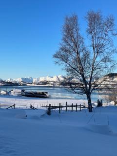 Svanetunet Evada - 8