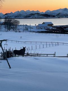 Svanetunet Evada - 5