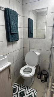 The Swiss Garden - 5