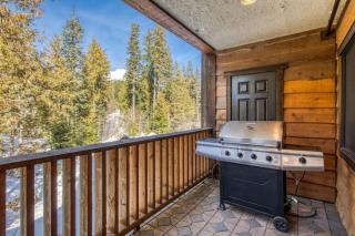 Luxurious Collins Lake condo withupdated amenities shared pool & easy ski access - 7
