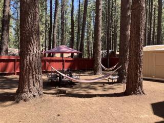 All-season dog-friendly cabin with fireplace & deck - near Heavenly & beach - 5