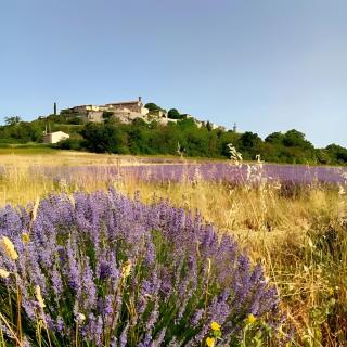 L'atelier de Raymond - 5
