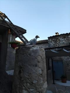 L'atelier de Raymond - 4