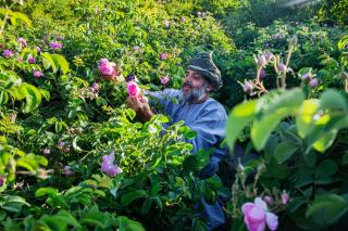 Hotel Indigo Jabal Akhdar Resort & Spa by IHG - 9