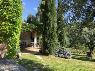 Gîte Bleu au milieu des oliviers - 7