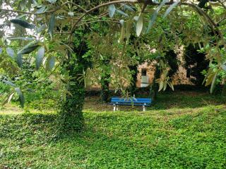 Gîte Bleu au milieu des oliviers - 3