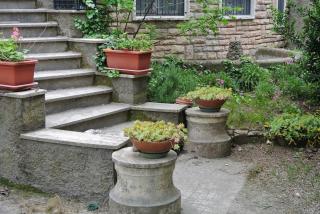 Sogliola - villa near the sea - 9