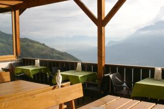 Panoramapension Etschblick - Meltina - 9