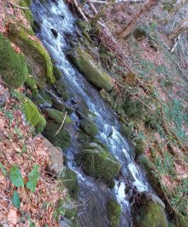 Planinski kutak Zavičaj Rudno - 3