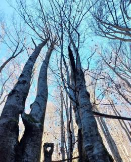 Planinski kutak Zavičaj Rudno - 5