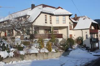 Gasthof & Landhotel Jöbstel - 6