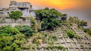 Big Tree JUDO ハウス ワゴンR無料でシェアOK - 8