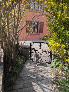 Maison Mycélia - 8