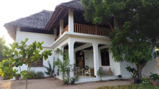 Kijibwe Chui Jambiani - 8