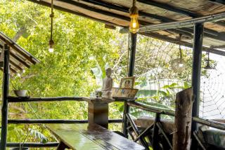 Wood Mountain Ella - 2