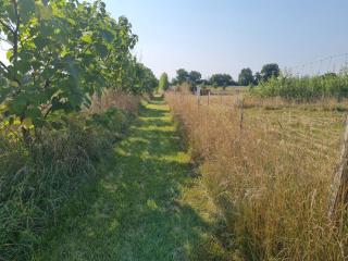 Mansion House, Your Private Paradise near Prague - 8