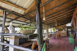 Wood Mountain Ella - 6