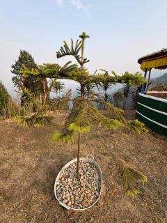 Druk Valley Farmstay - 6