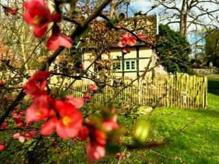 Auszeit vom Alltag in urigem Ferienhaus in idyllischer Natur im Dümmer-Weserland, Sauna & Kraniche - 0