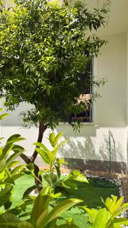 Duci Mondello Guesthouse - 4