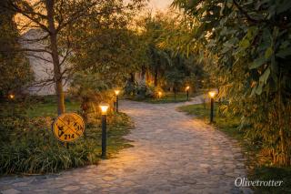 Olive Trotter, Nangal -  - 2