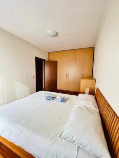 Oikami House - Via Lazio 7 - Rozzano - Humanitas - 7