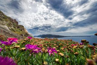 Theodora Suites - Oia - 6