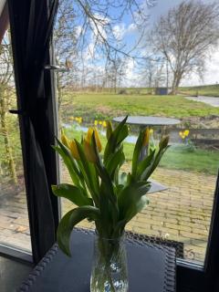 Hotelhuisjes Oosterleek - 5