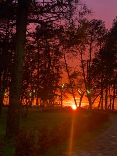 Kobuleti hotel 656 - 8