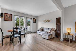 Lux Studio in Horseshoe Valley - 4