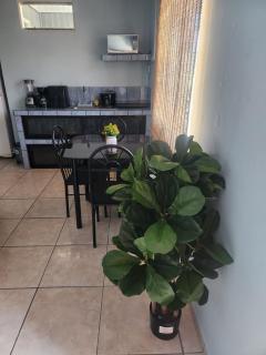 Quepos Explorer Hub - Downtown Apartment - 4