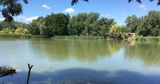 Dunaparti Kuckó - 8