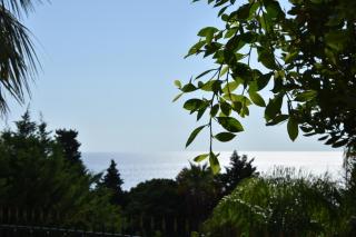 thalore room e apartments - 5