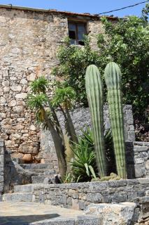 John William House - Mirabello apartment - 5