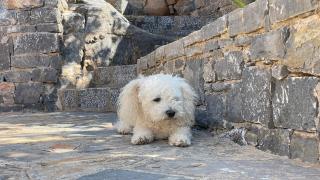 John William House - Mirabello apartment - 4