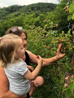 Seosko turističko domaćinstvo Dunja -  - 3