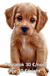 365 apartmány PARK - Piešťany - 9