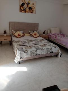 رجيش-المهدية - 1