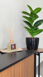 Vila Estrela - 2 Quartos com Suíte e Escritório - 2