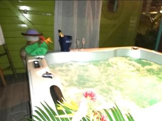 Lodge familial AU SABLE D'OR accès plage à pied - 1