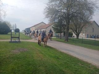 Lodge insolite sur camping à la ferme - 5